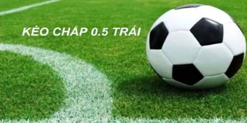 Cược chấp 0.5 trái luôn có mặt tại top ưa thích